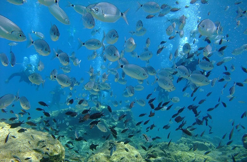  A calm and crystal-clear bay ideal for snorkeling. Known for its underwater statues and marine life — perfect for exploring beneath the surface.