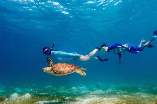  A quiet and scenic bay where guests can swim, snorkel, and sometimes spot sea turtles in their natural habitat.