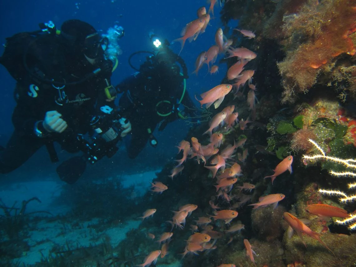 Diving